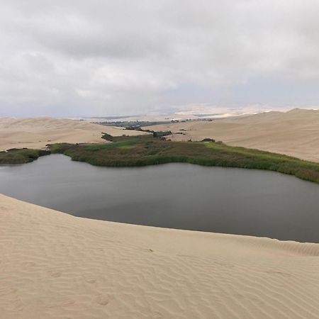 Paracas Camp Lodge & Experiences מראה חיצוני תמונה