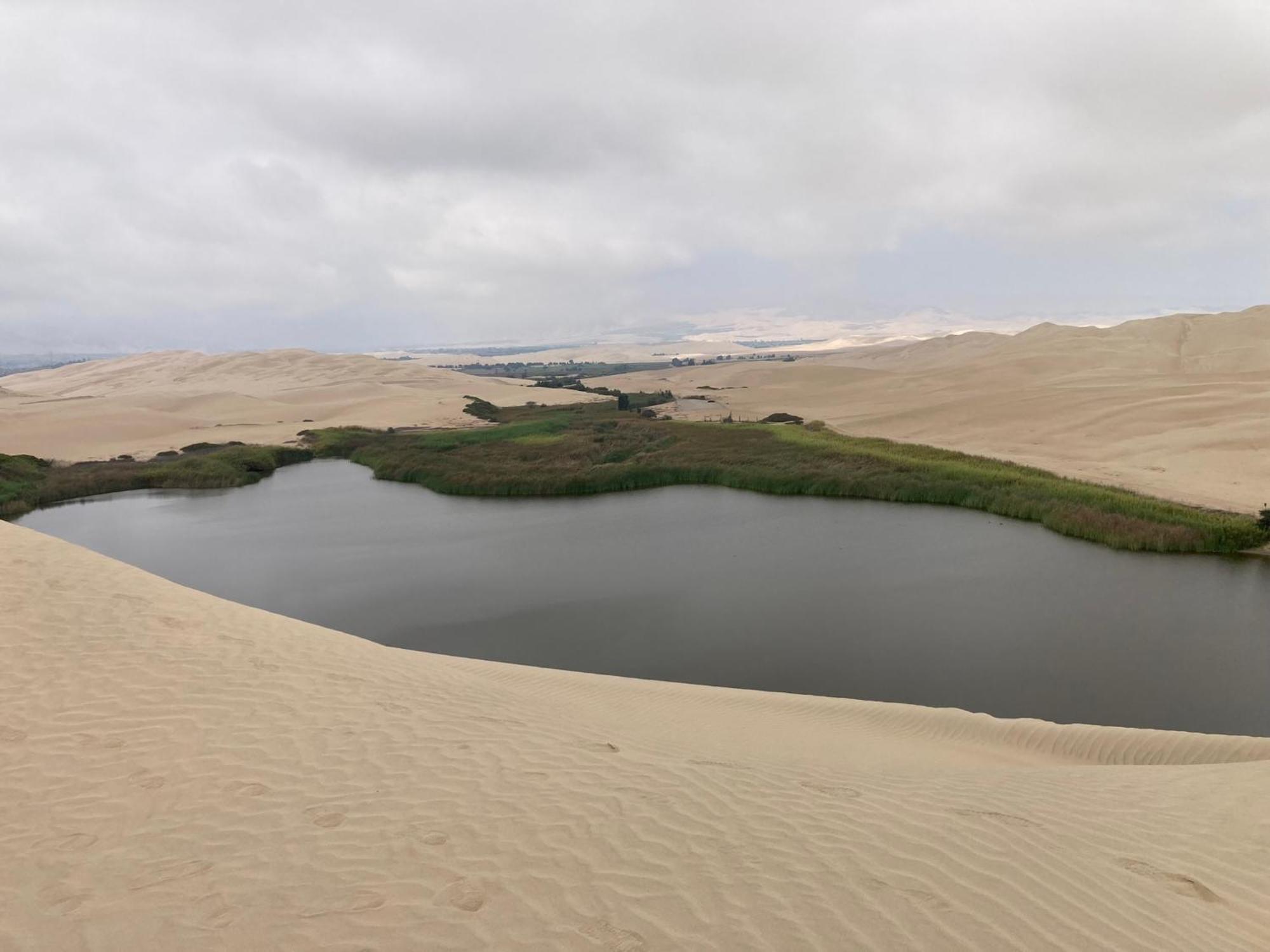 Paracas Camp Lodge & Experiences מראה חיצוני תמונה