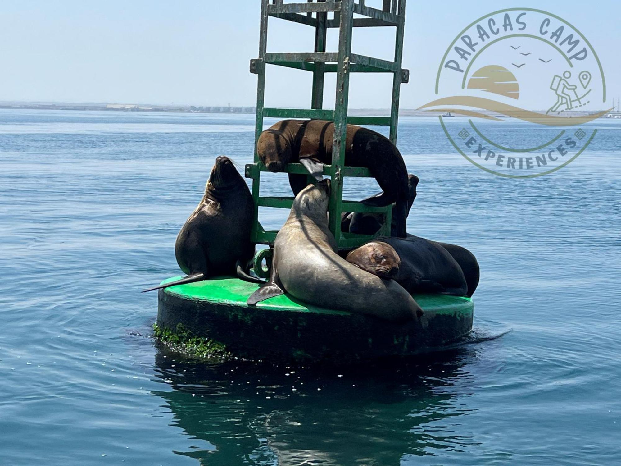 Paracas Camp Lodge & Experiences מראה חיצוני תמונה